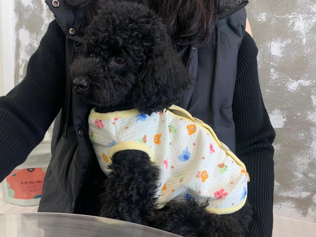 하트는멍멍 곰돌이 단추 조끼 강아지옷 수면 잠옷 실내복 실외복 강아지 티셔츠 아우터 고양이옷