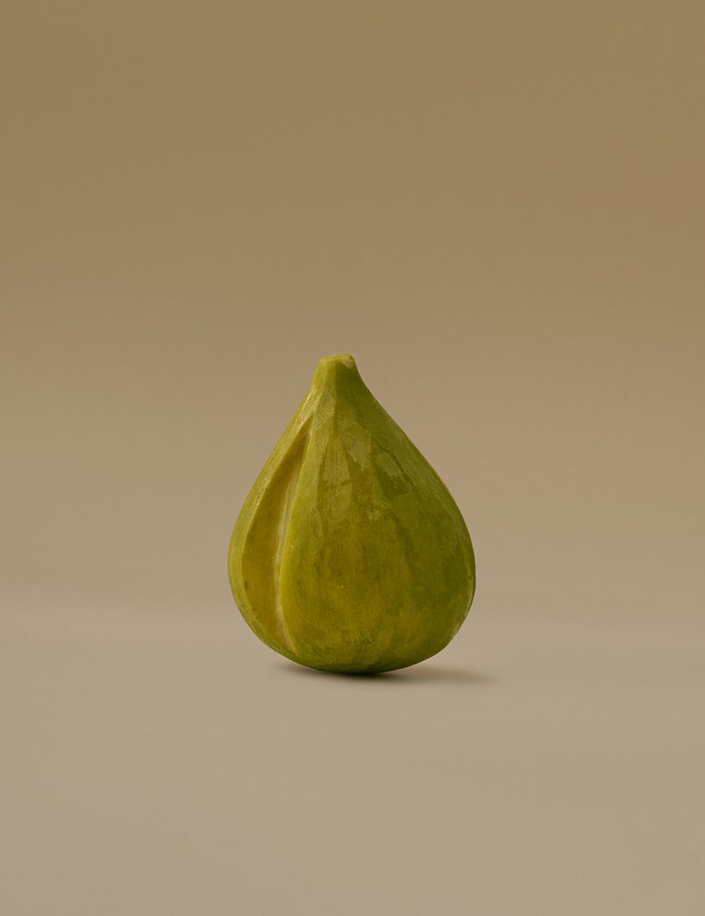 GREEN FIG | 그린 무화과