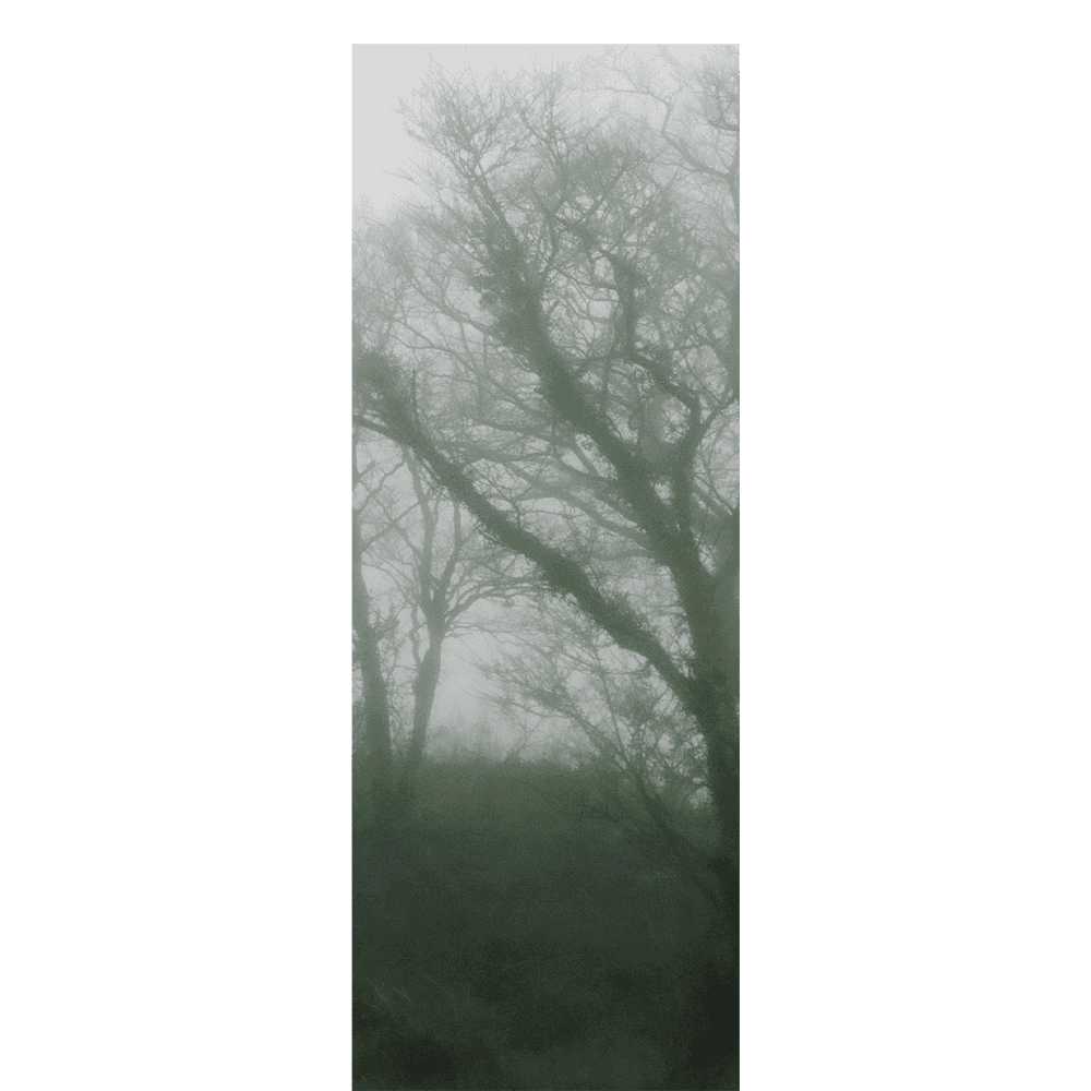 [재입고] [68개의 책갈피] Wet twig 젖은 가지 · 이오