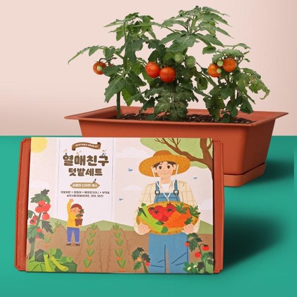 [열매친구 미니텃밭] 방울토마토 오이 미니당근 채소 키우기 화분세트