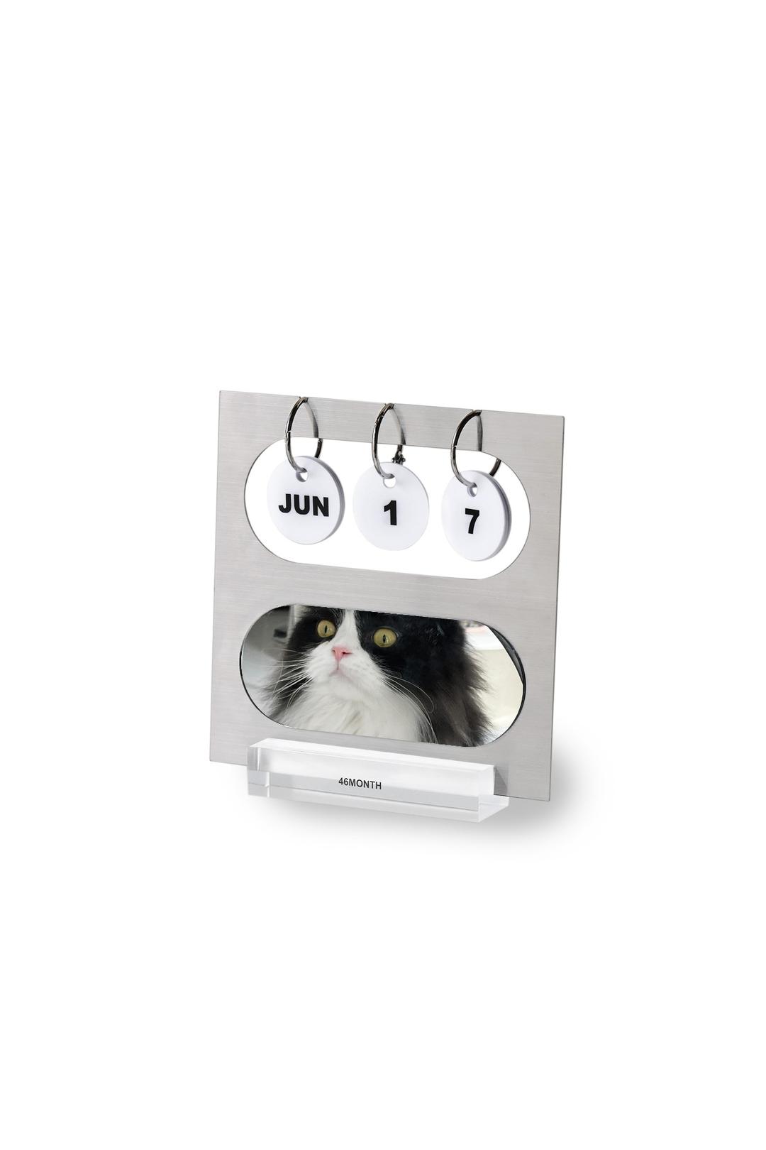 mirror calendar