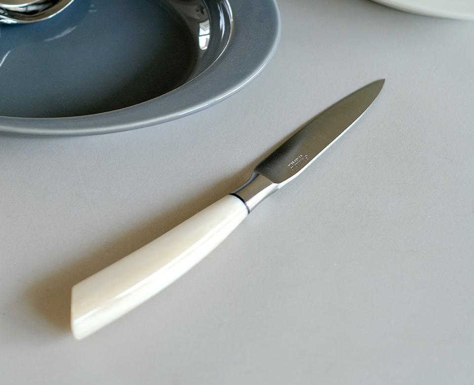 [살라디니] Saladini 테이블 나이프 (수지 핸들)