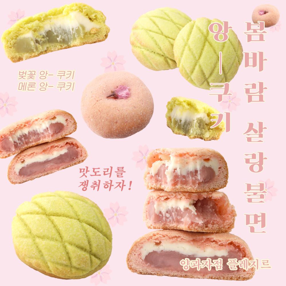 봄바람 살랑 불면 앙-쿠키 세트