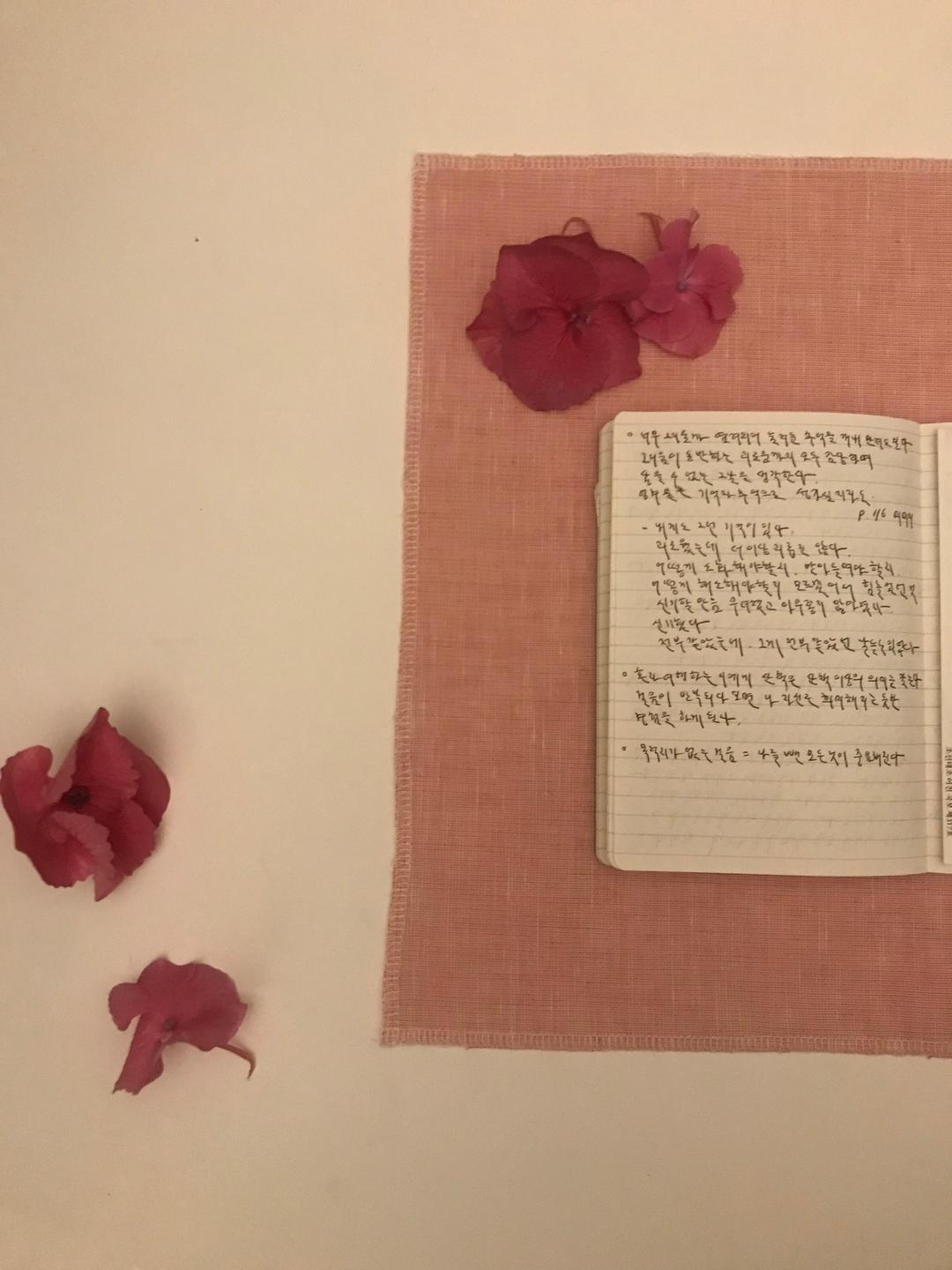 자두빛 받침 (*2차 재입고, 단종 예정)