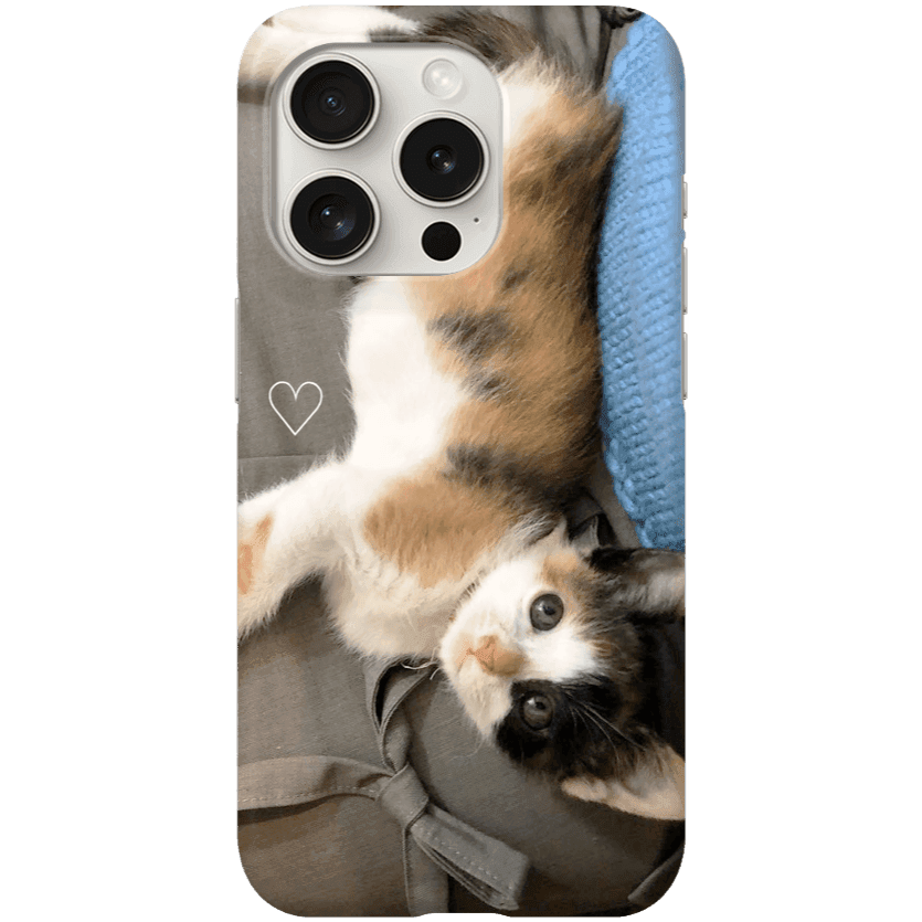 modepool grey eyes ㅣ 마플샵