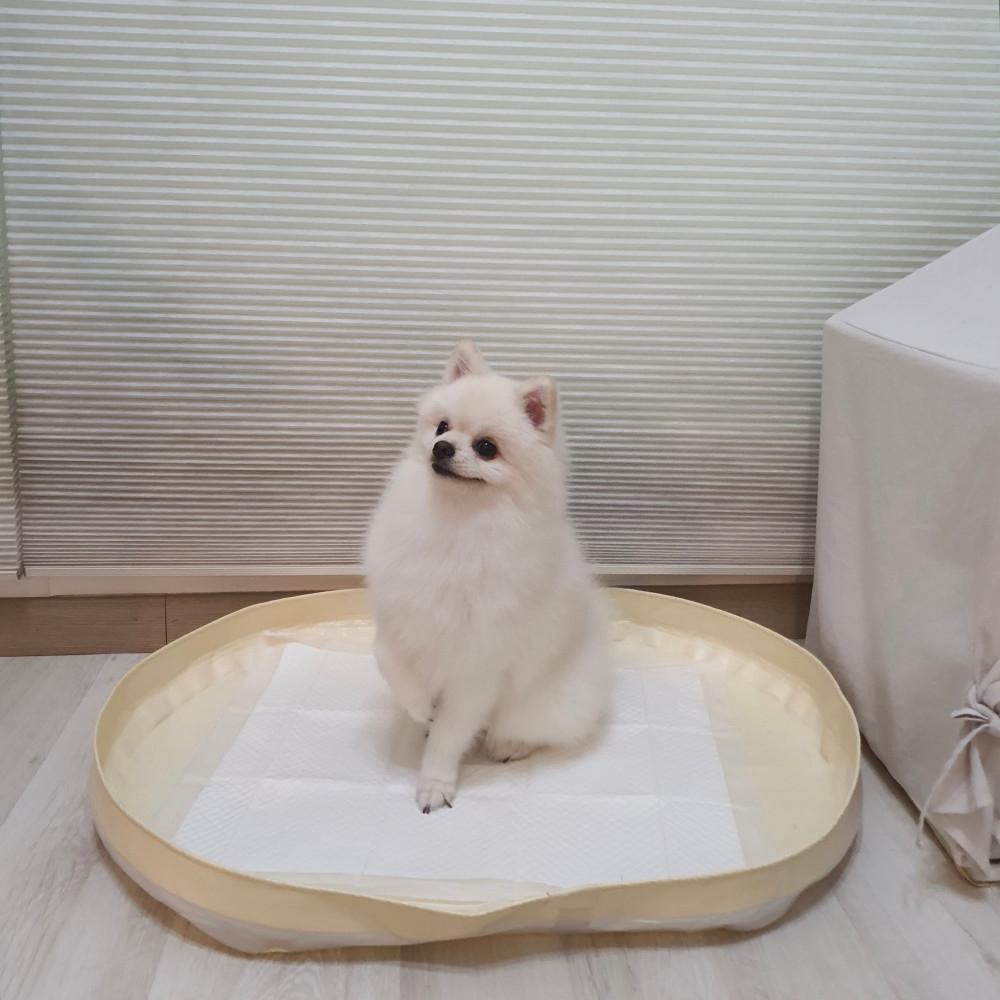 (1+1) 피피 강아지 배변매트 배변판 화장실 방수 배변패드판 모서리 샘방지 중소형 대형