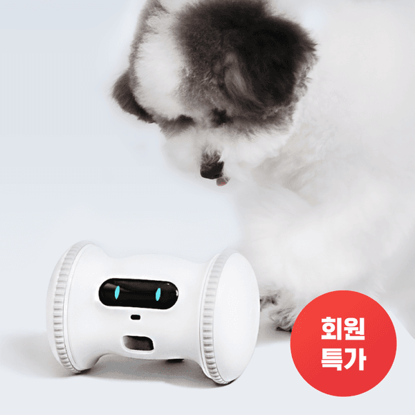 [VIP] 움직이는 간식로봇 피트니스 PRO