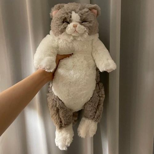 무릎인형★잠자는 쓰야쓰야 고양이(GY)