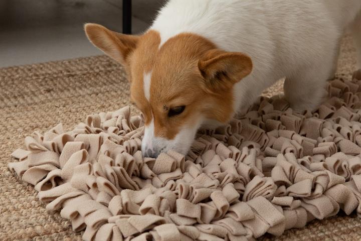 이디 노즈워크 매트