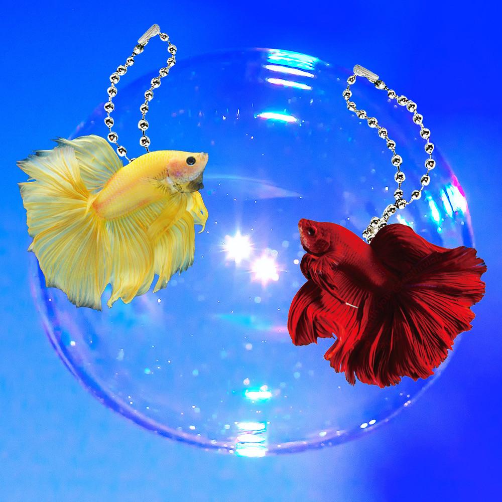 [씨스루랩] 미모사 로즈벨벳 베타 물고기 키링