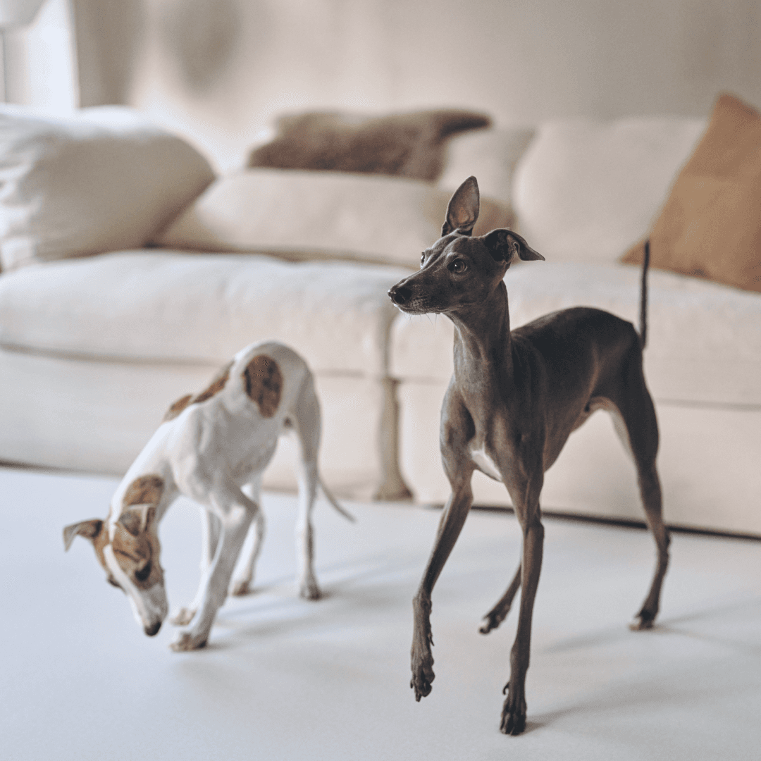 UPTO 20% [주문제작] 롤매트 밀크그레이