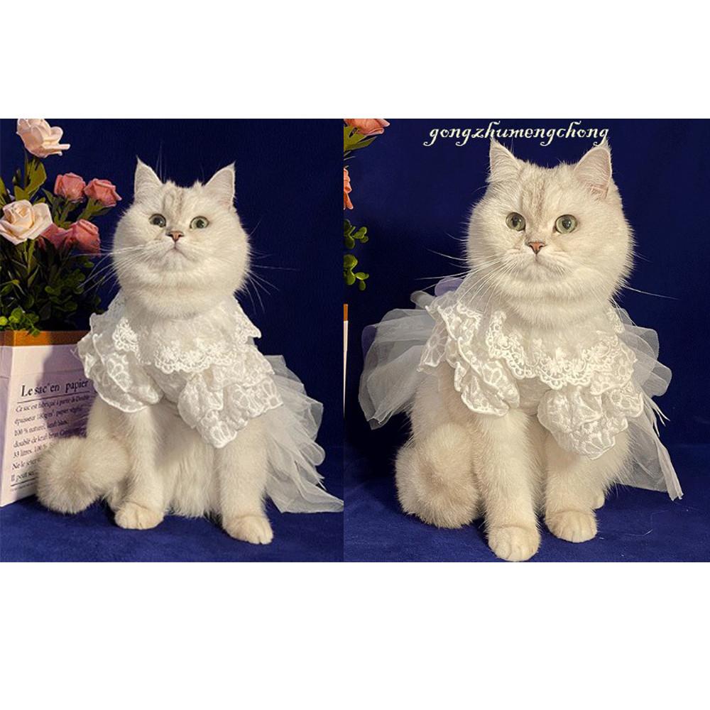 고양이 강아지 결혼신부옷 레이스원피스 스커트풍성한 벨웨딩드레스