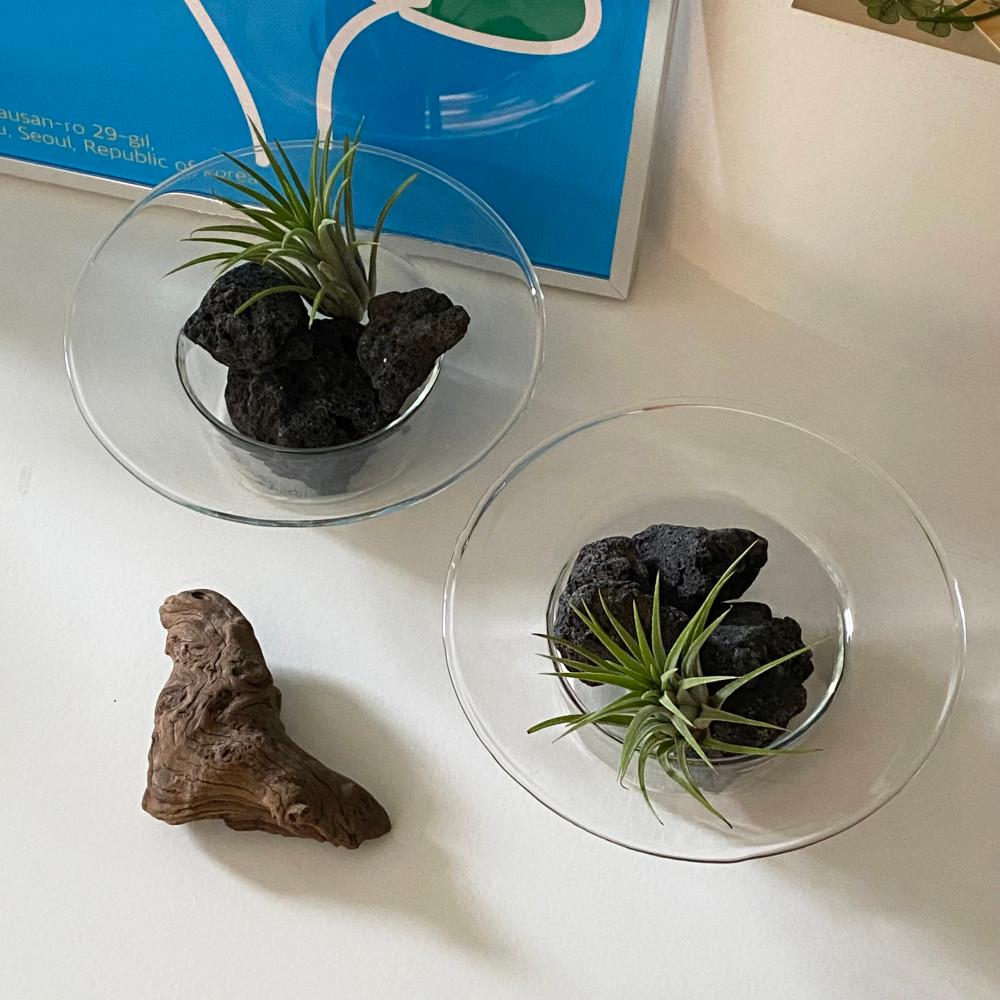 글라스볼 식물 SET (유리볼+식물+화산석) 플랜트 인테리어