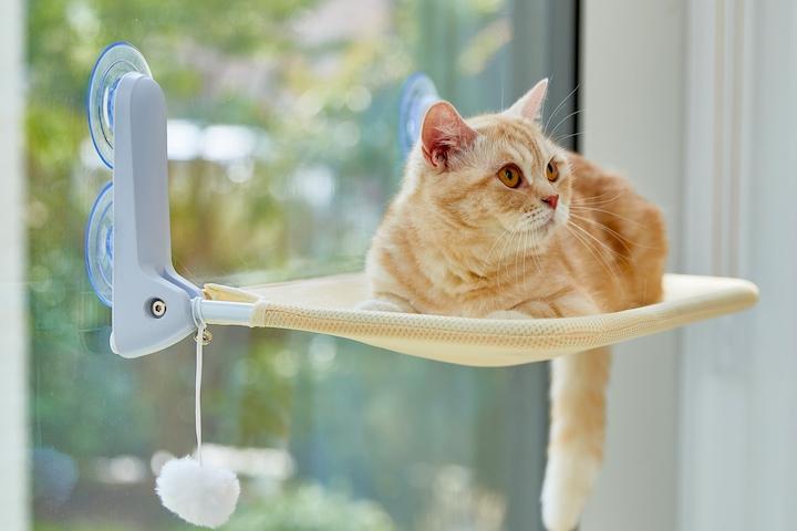 초강력 흡착! 고양이 창문 해먹 캣타워