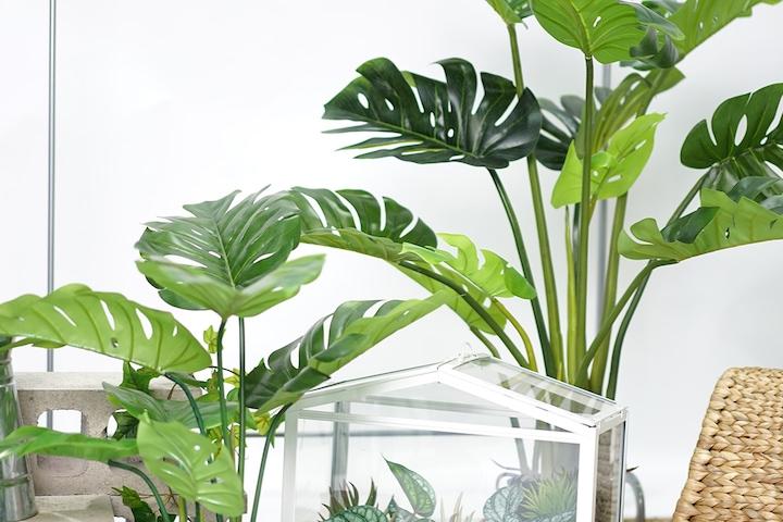 풍성한 몬스테라 고퀄리티 조화 나무 포트 2sizes