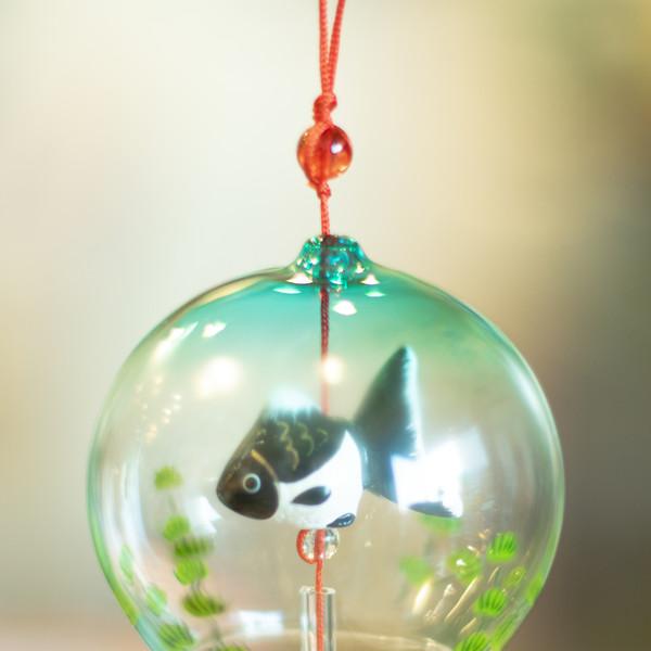 어항 속 작은 금붕어 풍경 (빨간 붕어 추가)