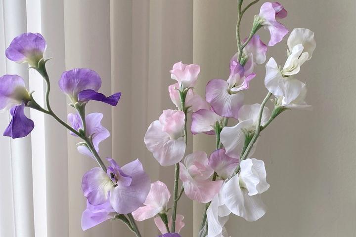 파스텔 스위트피 조화 5colors 하늘하늘