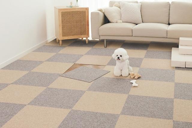 강아지미끄럼방지 셀프시공카페트매트50X50 1P(9Colors)