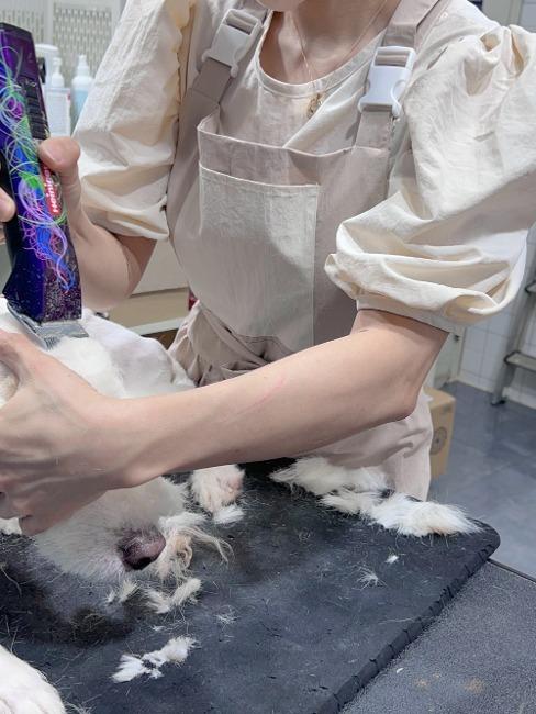 [베이지당일발송] casual BUCKLE neutral 100% waterproof apron