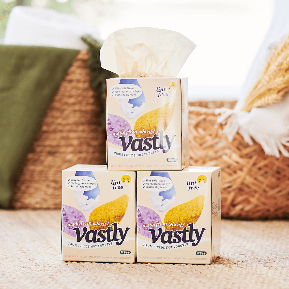 바스틀리 먼지없는 2겹 밀짚 미용 갑티슈 미니 85매 6입