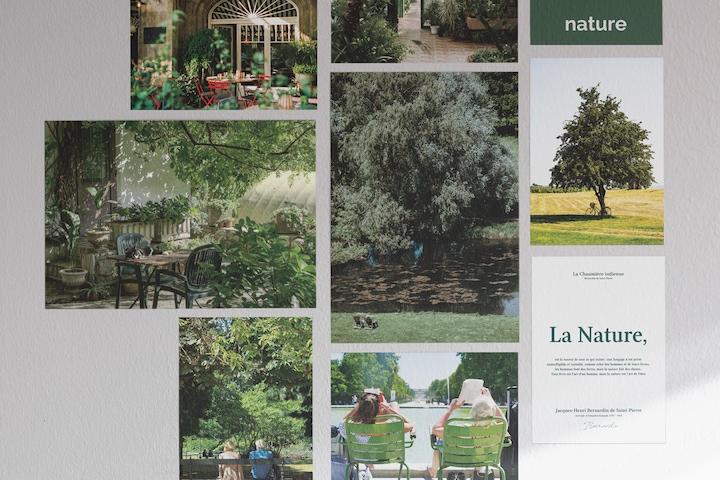 오픈 이벤트! 1+1 플랜테리어 자연 숲 그린 인테리어 엽서 세트 V.01