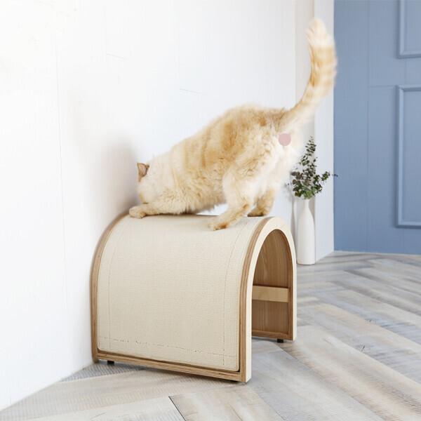 CAT DOME
