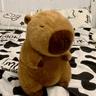 【Ahhkawaii】Adorable Internet-Famous Capybara Plush Toy Stuffed Animal Pillow