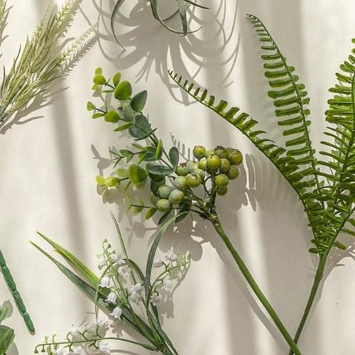 플랜테리어 조화 6종