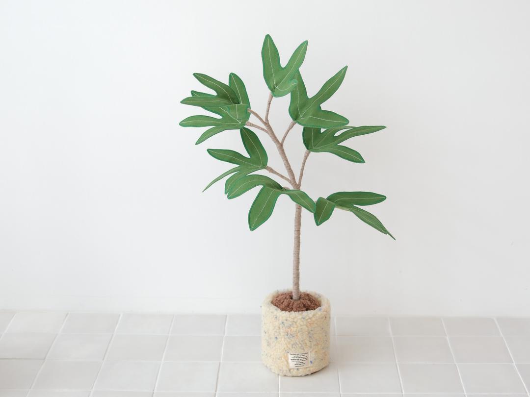 패브릭 중형 식물 - 잎이 많은, 황칠나무