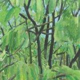 CD 미개봉 잔나비 소곡집 2 - 초록을 거머진 우리는