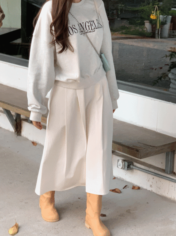 로에 핀턱 플레어스커트 2color