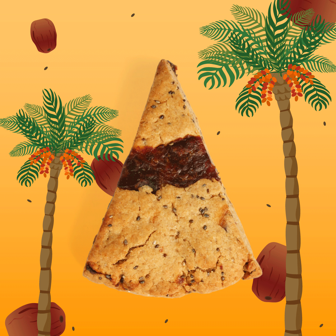 데이츠치아씨드스콘