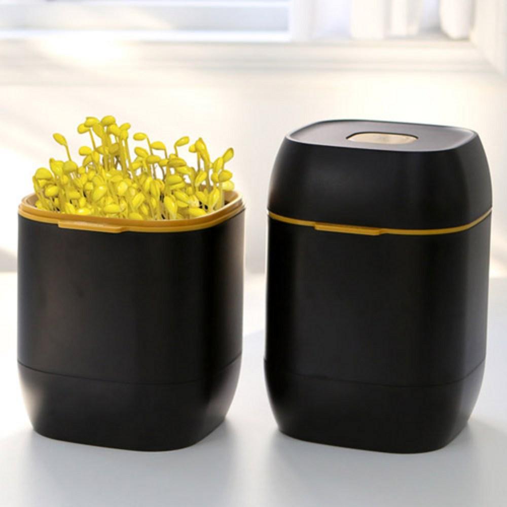 [코아코아] 콩나물재배기 코아두 1단 - 콩나물재배기 | 쿠팡