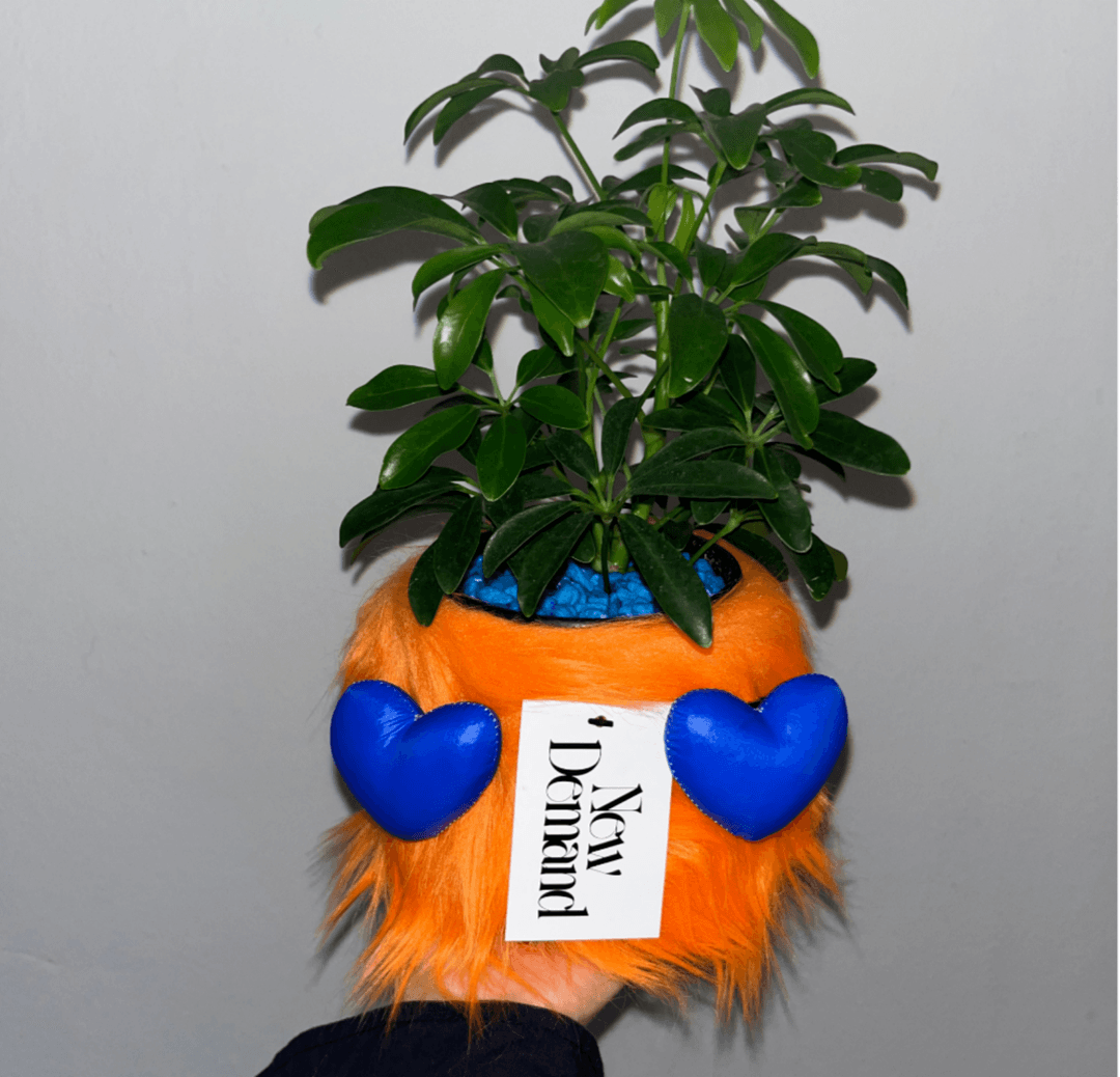 [뉴디맨드's Pick] 미니홍콩야자 + 오렌지 팟 Set