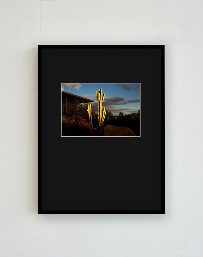 [다이애나 마르코시안] Diana Markosian — Eli's Home, 2019 (액자포함)24 x 32.5 cm