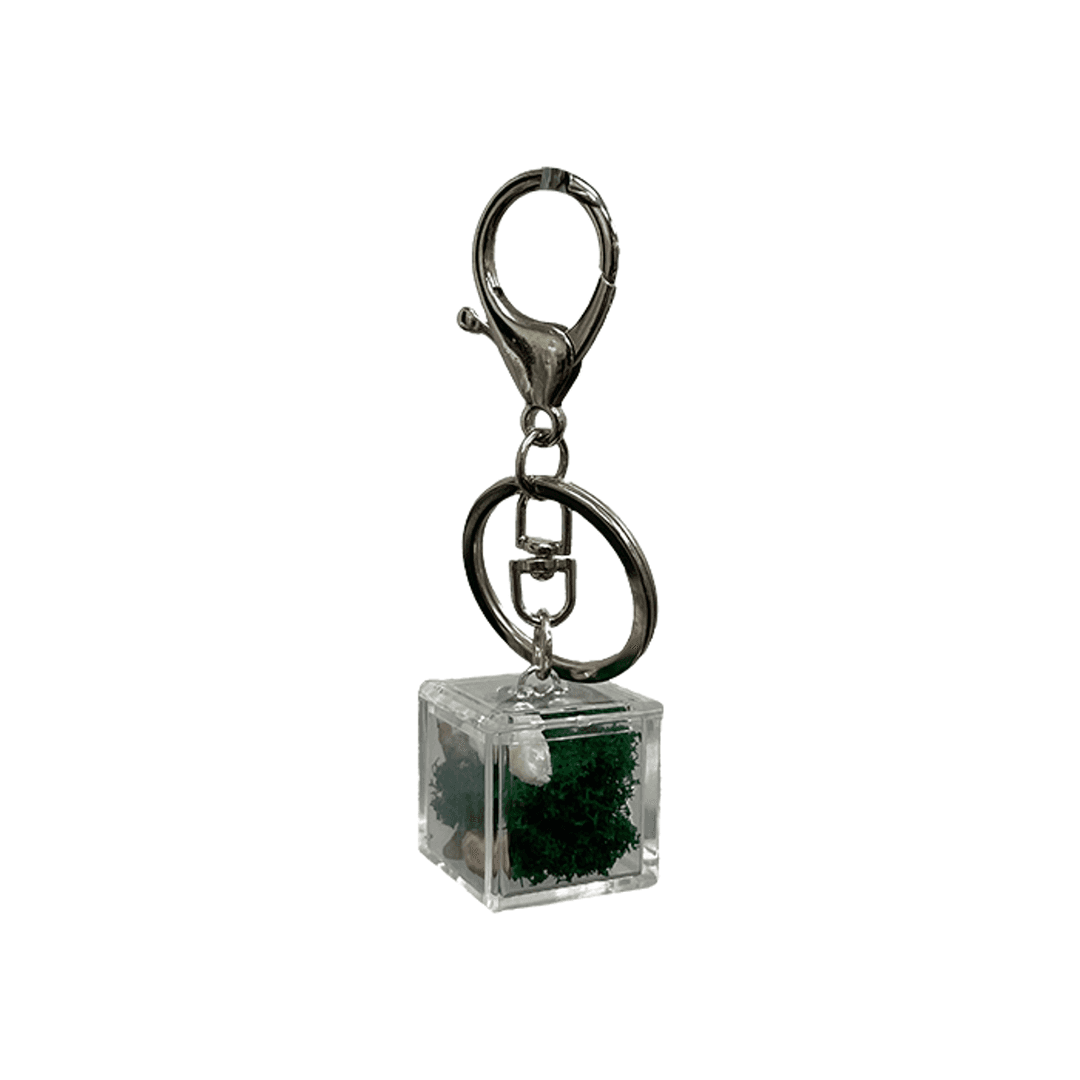 TCM nature box keyring