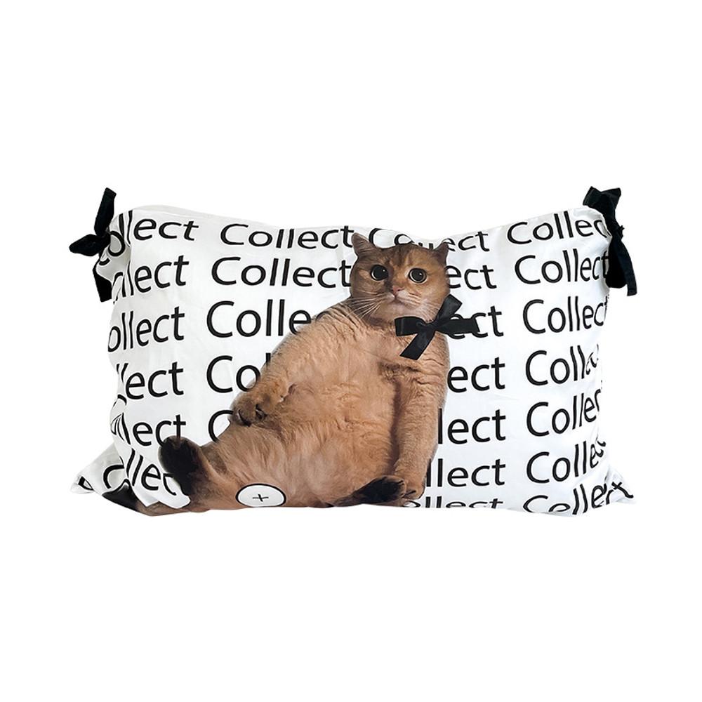 Collect 콜렉트 아트 컬렉션 베개커버 6type