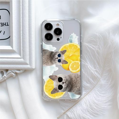 젤리케이스 레모냥