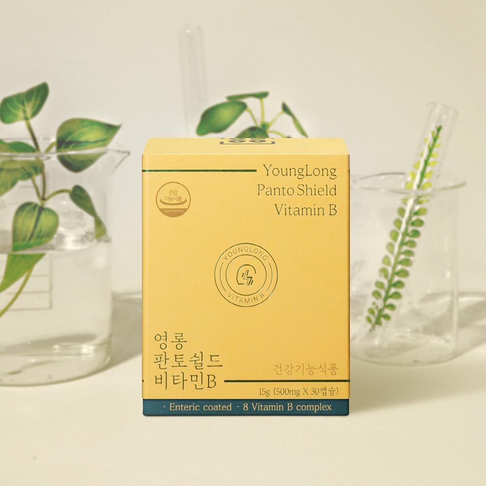 영롱 판토쉴드 비타민B