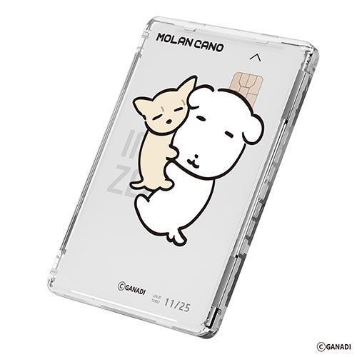 가나디 투명 맥세이프 카드지갑 2종 택1