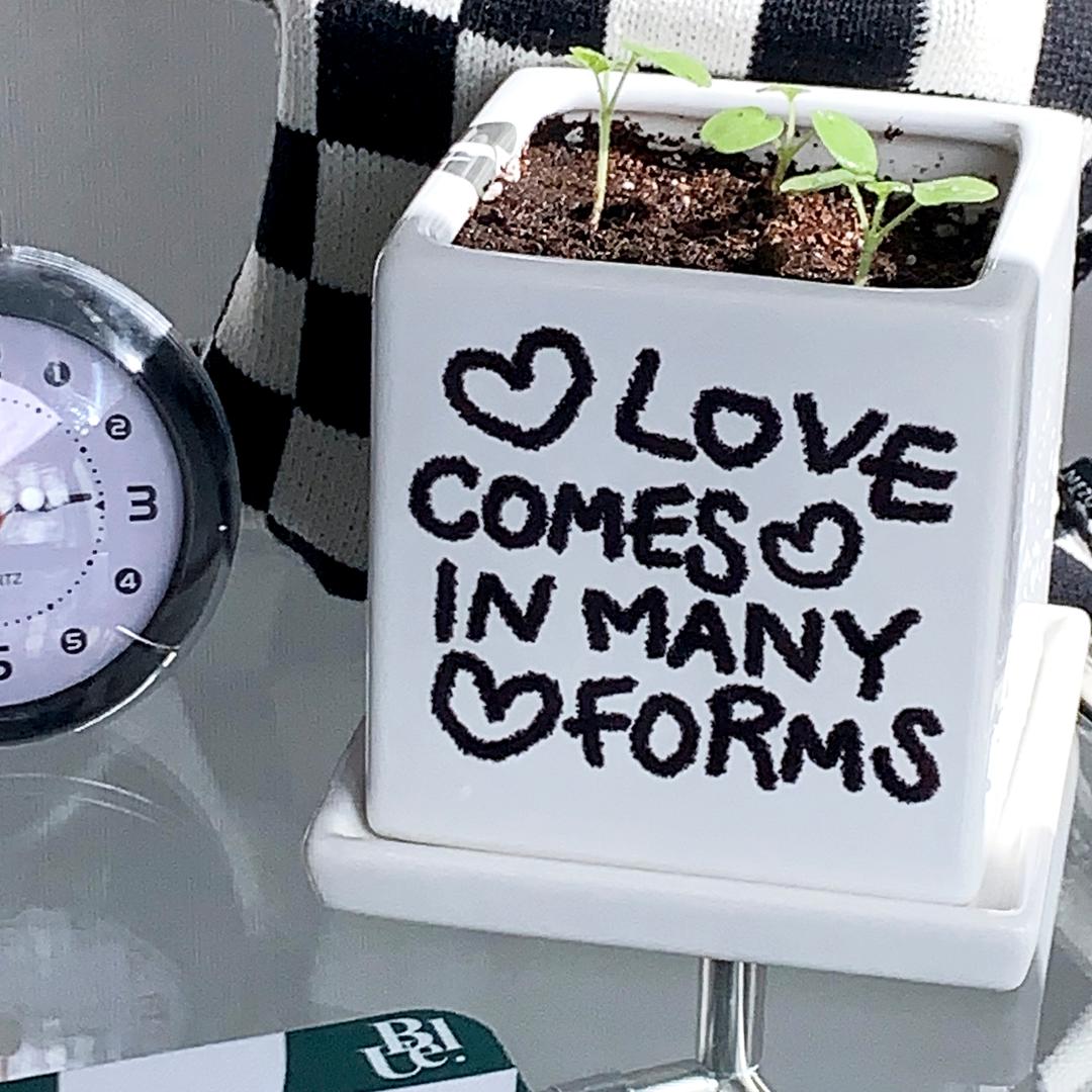 (New 5% off) Love Plant Pot