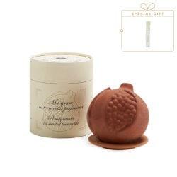 멜로그라노 인 테라코타 (+멜로그라노 오드코롱 바이알 2ml 증정)