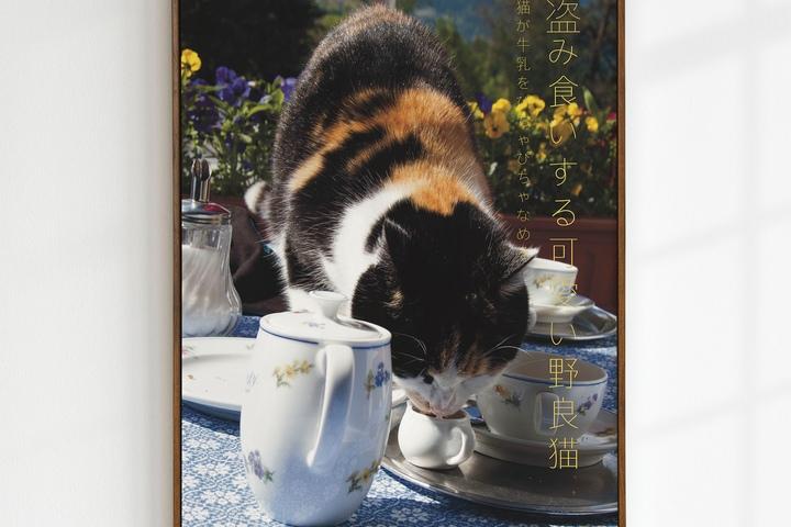 일본감성 고양이포스터 귀여운 동물 하이틴 키치 일식인테리어 그림 stray kitty