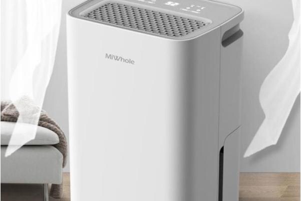 [해외]   대용량 제습기 원격제어 공기청정제습기 20L 한국형코드 / 무료배송