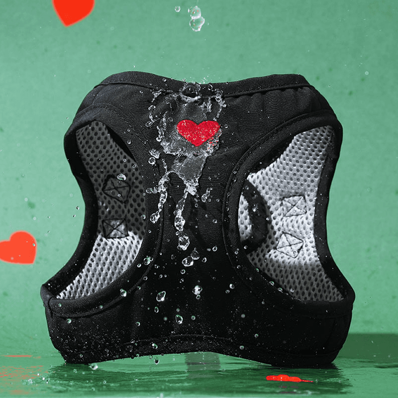 퍼피갤러리 Weather Proof 하트 방수 하네스 블랙