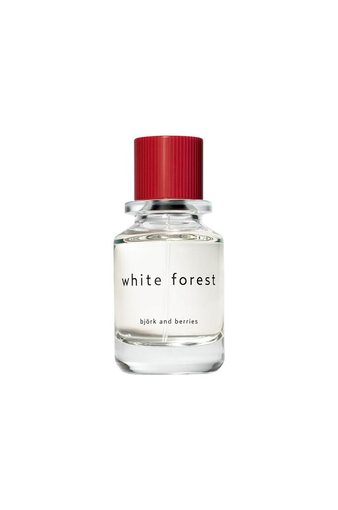 [Liquides Perfume Bar] 화이트 포레스트 오드퍼퓸 50ml