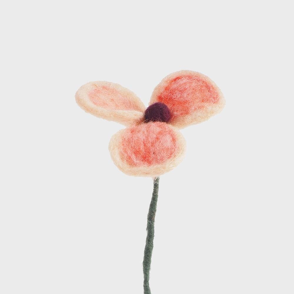 엔드리스 플라워 꽃 파피 양귀비 피치