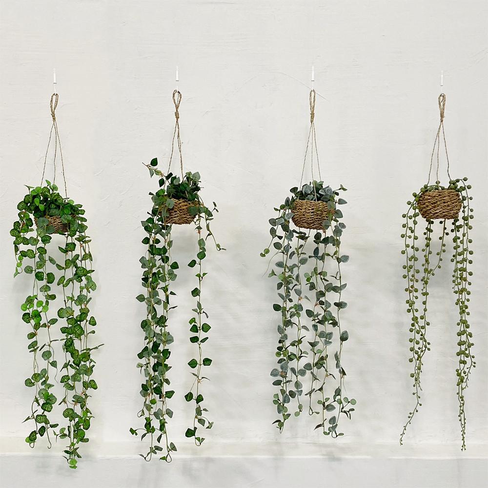 러브체인 콩란 조화 콩난 걸이 바인 행잉플랜트 넝쿨 덩쿨 바구니