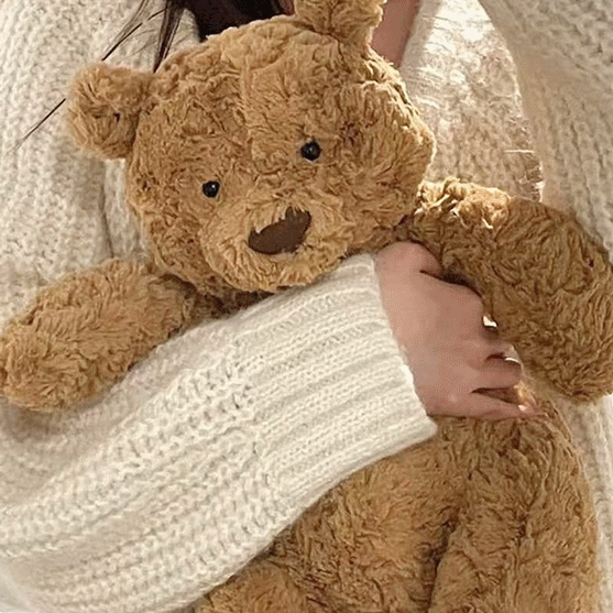 브라우니 베어 곰인형 35cm 내친구 곰돌이 애착인형