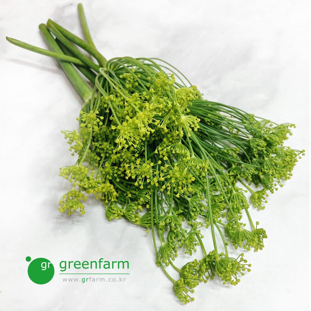 딜꽃 1팩 (5줄기)